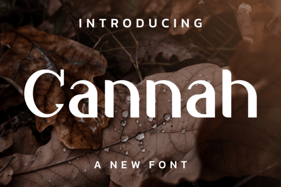 Cannah: A Modern Display Font for Bold Brand Campaigns