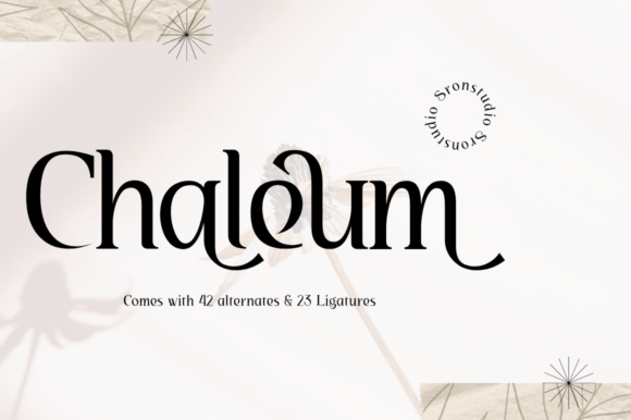 Chaleum Font for Modern Web Design